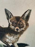 Oude schoolplaat vos en wolf - vintage retro poster plaat, Antiek en Kunst, Antiek | Schoolplaten, Natuur en Biologie, Ophalen
