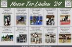 Het Kleurrijke Hengstenaanbod van Hoeve Ter Linden, Dieren en Toebehoren, Paarden en Pony's | Dekhengsten en Fokmerries, Hengst