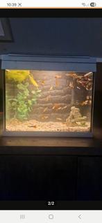 Aquarium 30 liter, Dieren en Toebehoren, Vissen | Aquaria en Toebehoren, Ophalen of Verzenden, Zo goed als nieuw, Leeg aquarium