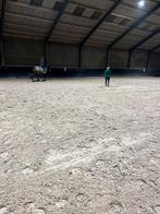 2 boxen vrij per 1 september, Dieren en Toebehoren, Stalling en Weidegang, Weidegang, 2 of 3 paarden of pony's