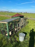 Kippenhok met 1haan en 4 kippen, Dieren en Toebehoren, Ophalen of Verzenden