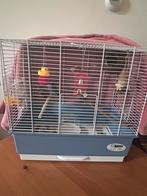 Nieuwe vogelkooi ferplast, Dieren en Toebehoren, Ophalen of Verzenden, Zo goed als nieuw, Metaal, Vogelkooi
