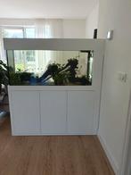 Maatwerk aquarium compleet, Ophalen, Zo goed als nieuw, Leeg aquarium