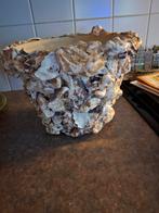 Bloempotten van Japanse oesterschelpen, Ophalen of Verzenden, Overige soorten, Minder dan 100 cm