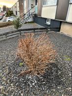 GEZOCHT, Tuin en Terras, Ophalen, Tuinaarde