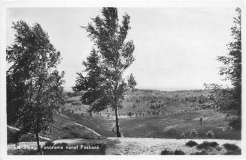 (387-218-025) De Steeg Panorama vanaf Posbank beschikbaar voor biedingen