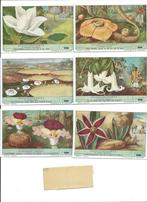 OXO plaatjes series van 6 stuks, Verzenden, Zo goed als nieuw, Overige typen