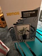 Terrarium, Huis en Inrichting, Kamerplanten, Ophalen, Overige soorten, Halfschaduw, In pot