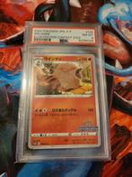 Arcanine - Illustration Contest - PSA8, Ophalen of Verzenden