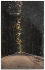 Middachterallee Oude gelopen ansichtkaart (Bx371), Verzamelen, Ansichtkaarten | Nederland, Ophalen of Verzenden, Gelopen