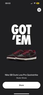 Nike SB Dunk Low Riot Skateshop 41, Nike SB, Overige kleuren, Nieuw, Ophalen of Verzenden