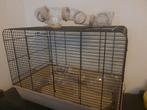 Hamsterkooi, Dieren en Toebehoren, Knaagdieren en Konijnen | Hokken en Kooien, Kooi, Minder dan 75 cm, Zo goed als nieuw, Ophalen