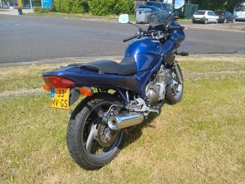 Yamaha diversion 600cc 1993 goed onderhouden  beschikbaar voor biedingen