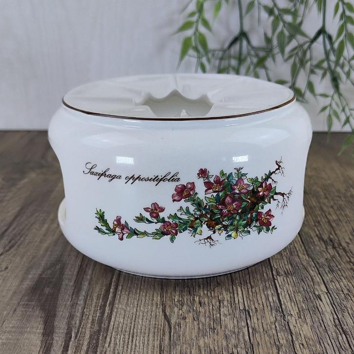 Villeroy & Boch Botanica Theelicht, Antiek en Kunst, Antiek | Servies los, Ophalen of Verzenden