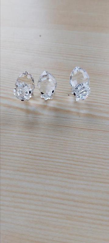 Swarovski kuikentjes beschikbaar voor biedingen