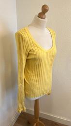 Fabienne Chapot maat L gele Ida pullover trui 935, Kleding | Dames, Truien en Vesten, Geel, Maat 42/44 (L), Ophalen of Verzenden