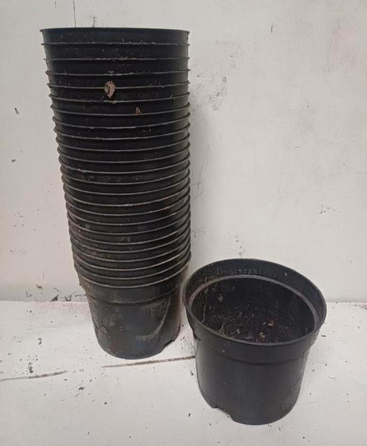 Kweekpotten 1,5 liter, Tuin en Terras, Bloempotten, Gebruikt, Kunststof, Minder dan 40 cm, Minder dan 25 cm, Rond, Ophalen of Verzenden