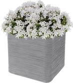 Pro Garden Plantenpot/bloempot Square 38x38x33cm, Tuin, Kunststof, Verzenden, Vierkant