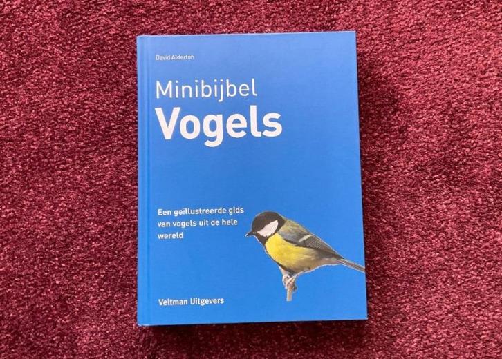 vogelgids gids herkennen vogels minibijbel David Alderton, Boeken, Natuur, Zo goed als nieuw, Vogels, Ophalen of Verzenden