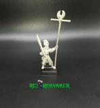 Warhammer Fantasy Old World High Elf Standard Bearer, Hobby en Vrije tijd, Wargaming, Warhammer, Ophalen of Verzenden