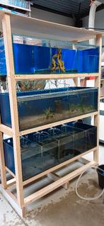 Aquarium stelling, Ophalen, Gebruikt, Leeg aquarium