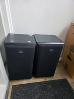 2 boxen/luidsprekers van Technics!, Ophalen of Verzenden, Gebruikt