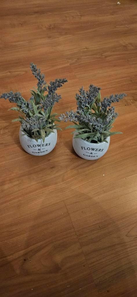 Decoratieve Lavendel Bloemen in Pot - Set van 2, Huis en Inrichting, Woonaccessoires | Kunstplanten en Kunstbloemen, Ophalen