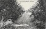 Ameland, Dennenbosch te Nes, Verzamelen, Ansichtkaarten | Nederland, Verzenden, 1920 tot 1940, Gelopen, Waddeneilanden
