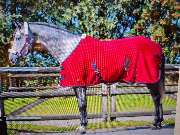 2 stuksQHP deken Quick Dry Cooler Florence Burgundy met bont, Dieren en Toebehoren, Paarden en Pony's | Dekens en Dekjes, Nieuw