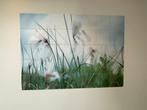 IXXI 140x 100 cm. Natuur., Ophalen of Verzenden