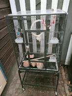 Mooie carbon steel vogel papagaai kooi met toebehoren, Dieren en Toebehoren, Vogels | Hokken en Kooien, Ophalen, Zo goed als nieuw
