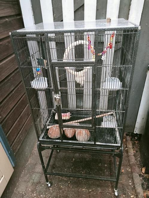 Mooie carbon steel vogel papagaai kooi met toebehoren, Dieren en Toebehoren, Vogels | Hokken en Kooien, Zo goed als nieuw, Vogelkooi