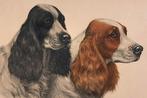 Litho 2 spaniels Leon Danchin, Antiek en Kunst, Kunst | Litho's en Zeefdrukken, Ophalen of Verzenden