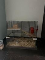 Hamsterkooi met toebehoren, Kooi, Gebruikt, Ophalen, Minder dan 60 cm