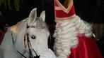 Sinterklaas bezoek om nooit meer te vergeten 2025, Diversen, Sinterklaas, Ophalen, DCR Events, Sint@dcrevents.nl, 3315DS