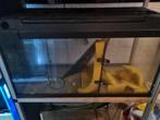 Aquarium, Dieren en Toebehoren, Vissen | Aquaria en Toebehoren, Ophalen, Gebruikt, Leeg aquarium
