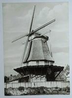 Hasselt ( Ov. ) Molen De Zwaluw, Verzamelen, Ansichtkaarten | Nederland, Verzenden, 1980 tot heden, Ongelopen, Overijssel