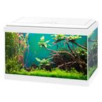 Ciano Aqua 20 Led nano aquarium, Ophalen, Gebruikt, Leeg aquarium