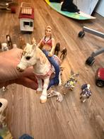 Fantasy Paarden Collectie met Elfen, Ophalen of Verzenden, Gebruikt, Overige typen