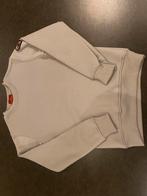 Grijze parajumpers trui(sweater), Parajumpers, Ophalen of Verzenden, Grijs, Gedragen