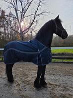 DKR Sports Outdoordeken Big Neck 200grs, Dieren en Toebehoren, Ophalen of Verzenden, Zo goed als nieuw, Deken