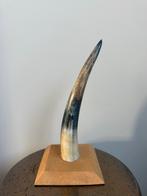 Mooie hoorn op houten voet, Ophalen of Verzenden, Zo goed als nieuw