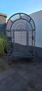 papegaaienkooi, Ophalen of Verzenden, Gebruikt, Metaal, Vogelkooi