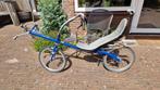M5 20 20 ligfiets(1998) voor de liefhebber, Ophalen, Gebruikt, Overige merken