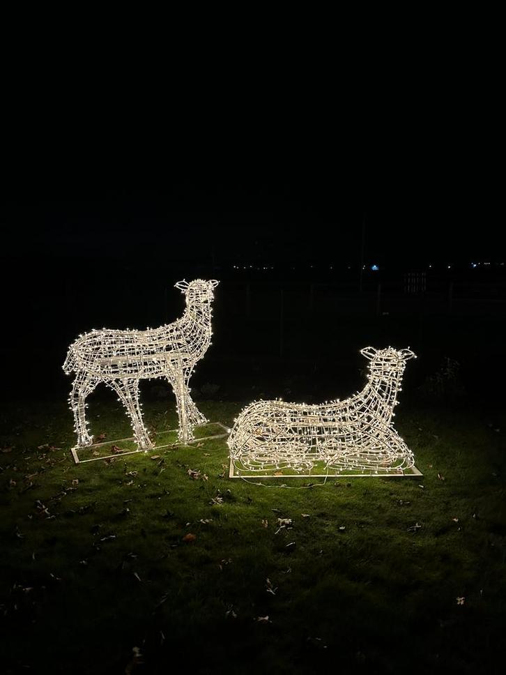 2 super gave aluminium herten met kerstverlichting, Diversen, Kerst, Gebruikt, Ophalen