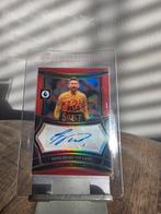 Vicario Gesigneerde Spelerskaart - Tottenham Hotspur, Ophalen of Verzenden, Zo goed als nieuw, Buitenlandse clubs, Spelerskaart