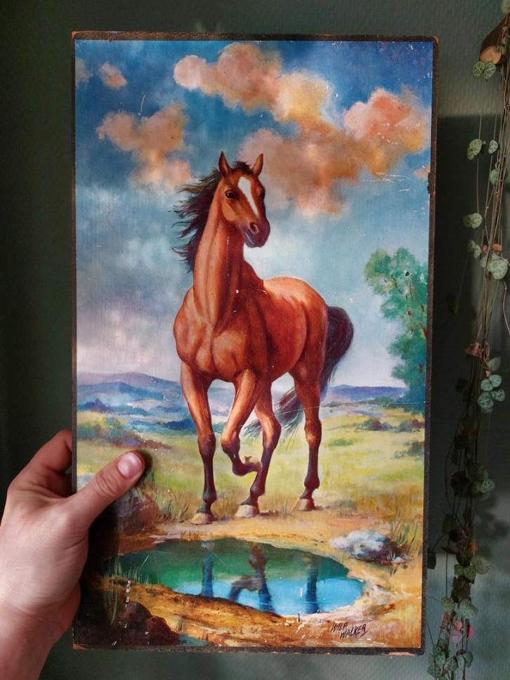 Grote vintage wandplaat prent Paard jaren 70 - Wilf Walker, Verzamelen, Retro, Huis en Inrichting, Ophalen of Verzenden