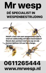 Wespennest bestrijding. Wespenbestrijding. Wespenweg