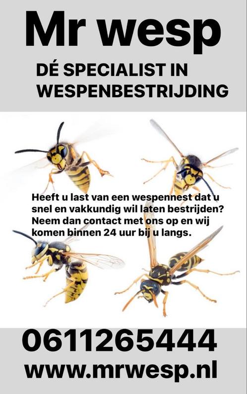 Wespennest bestrijding. Wespenbestrijding. Wespenweg, Diensten en Vakmensen, Ongediertebestrijding