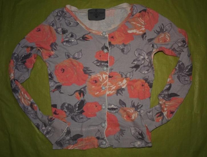 Grijs Vest met Rozen Vero Moda (S), Kleding | Dames, Truien en Vesten, Gedragen, Maat 36 (S), Grijs, Ophalen of Verzenden